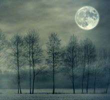 13 grudnia Księżyc wchodzi w znak Bliźniąt