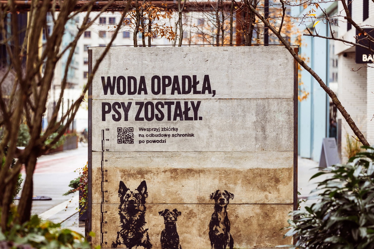 Woda opadła, psy zostały - kampania pomocowa