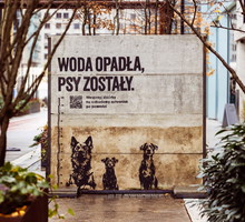 Woda opadła, psy zostały - kampania pomocowa