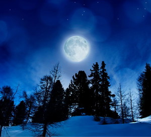 Wilcza Pełnia Księżyca to dopiero początek