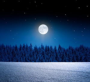 Horoskop na Wilczą Pełnię Księżyca