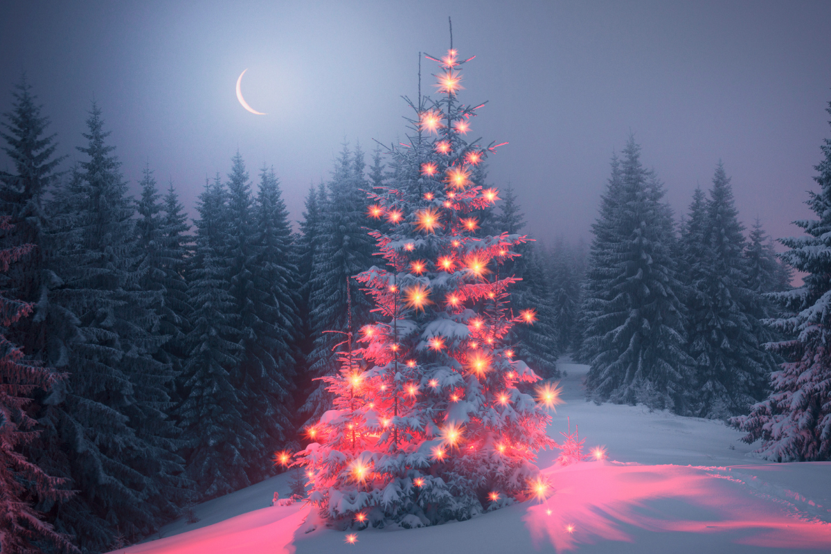 Nadchodzi ostatni nów Księżyca w 2024 roku