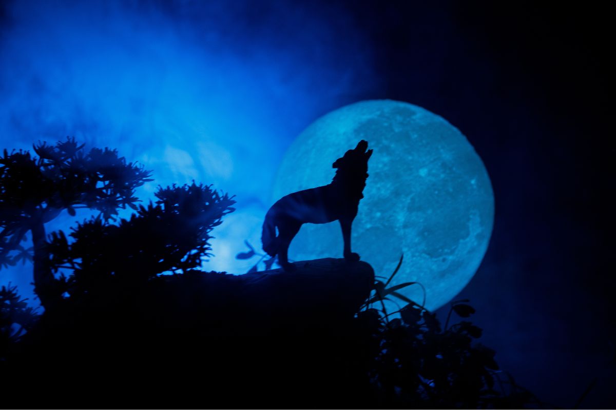 Szybki rytuał na styczniową pełnię