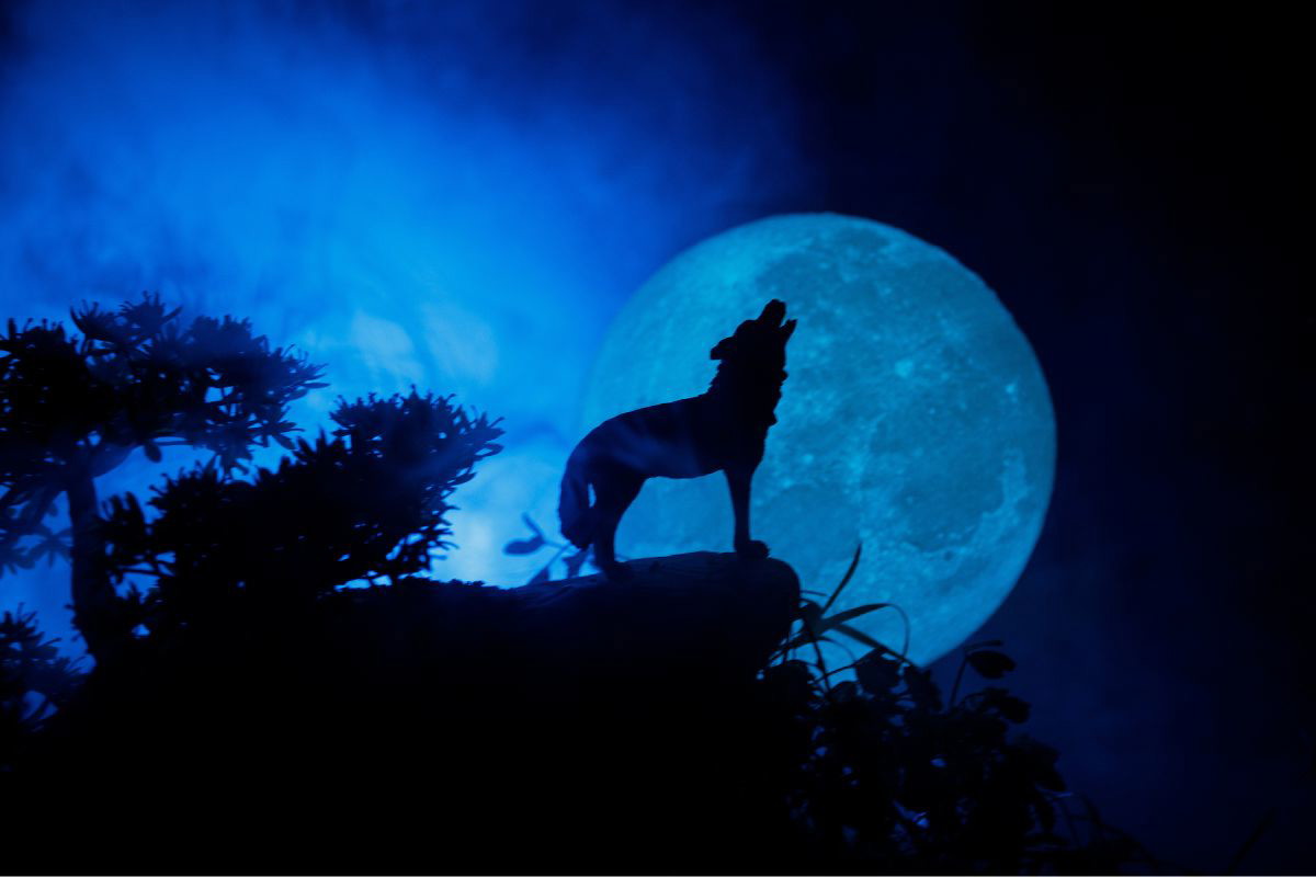 Szybki rytuał na styczniową pełnię