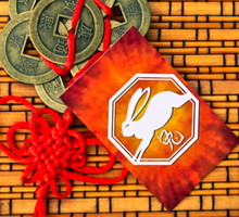 Królik chiński znak zodiaku