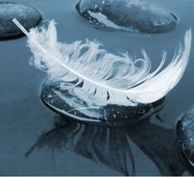 w sezonie Wodnika 2025 anioły otoczą nas opieką