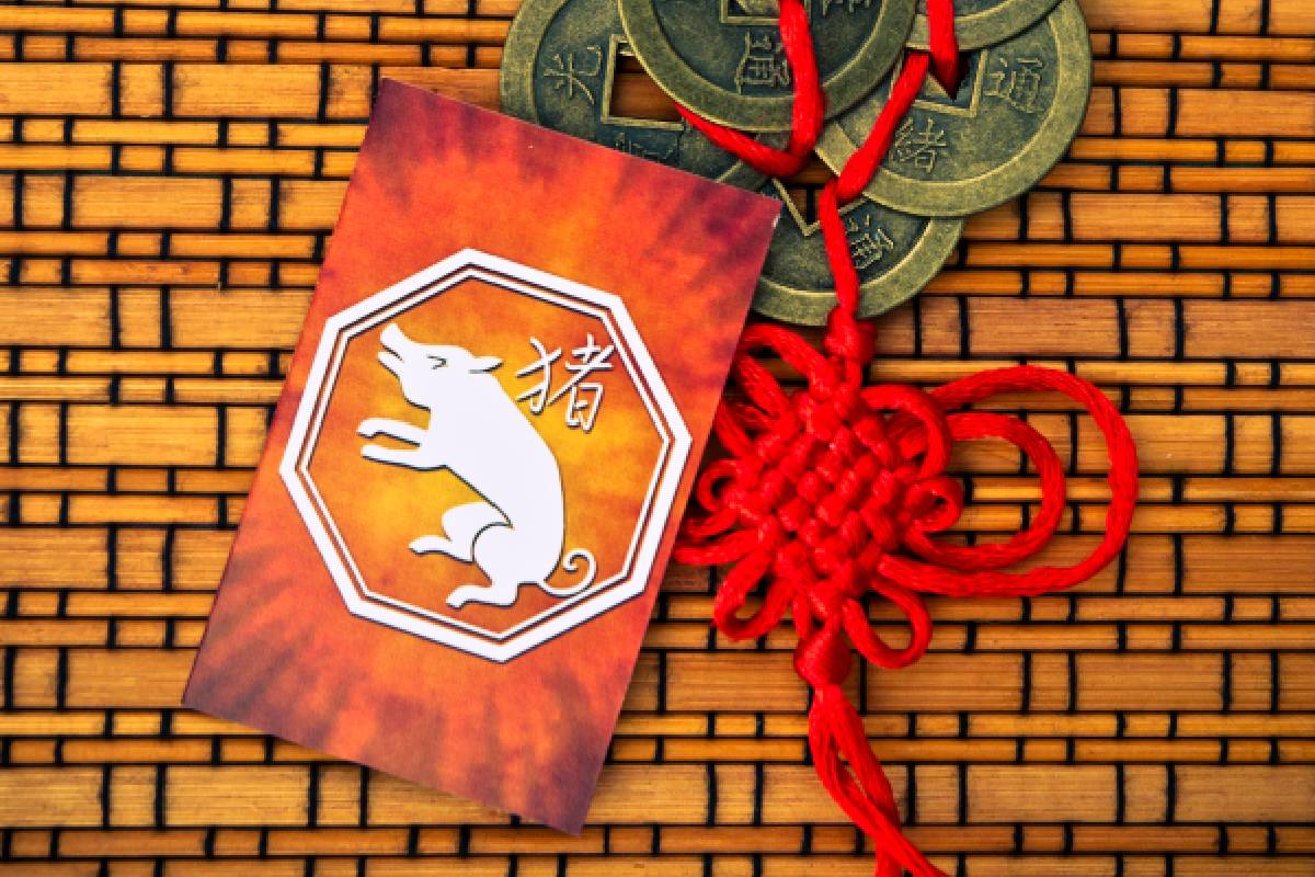 Świnia chiński znak zodiaku