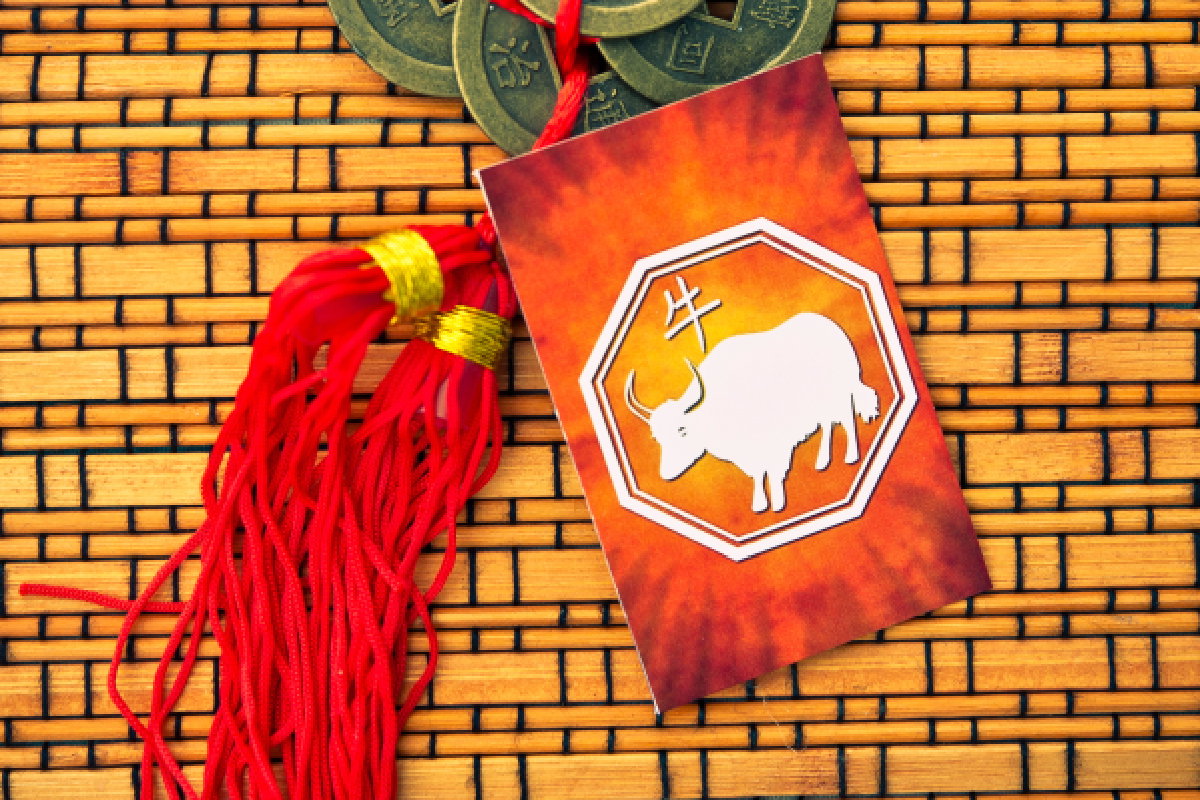 Wół chiński znak zodiaku