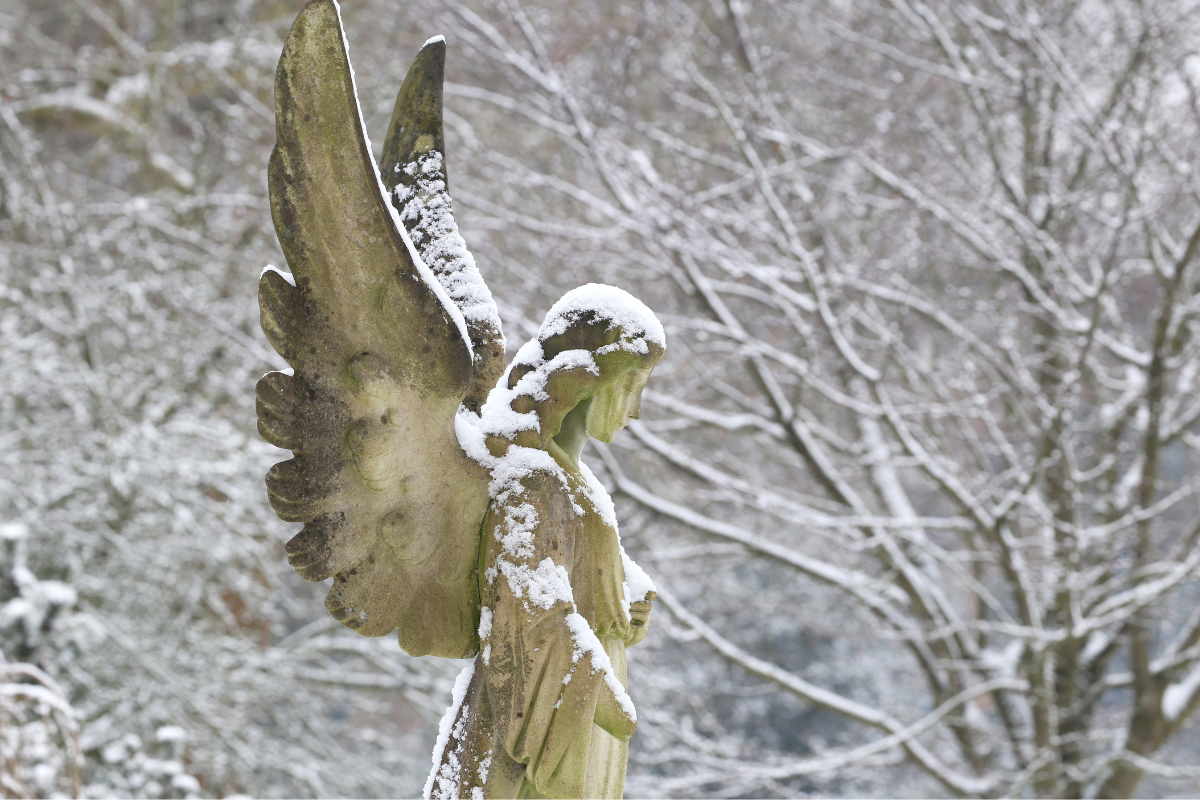 w lutym 2025 ręka anioła dotknie 3 znaki zodiaku