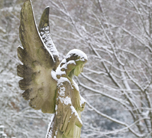 w lutym 2025 ręka anioła dotknie 3 znaki zodiaku