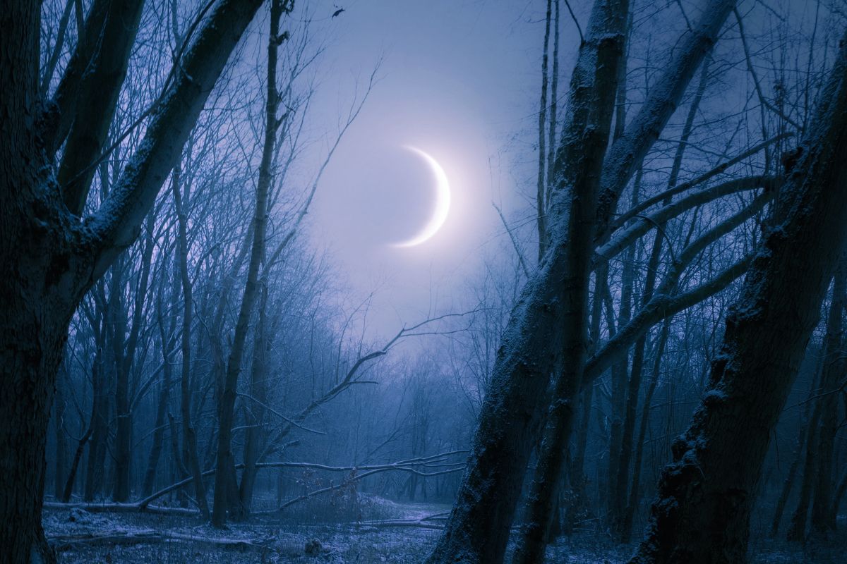 Chiński Nowy Rok to nie wszystko