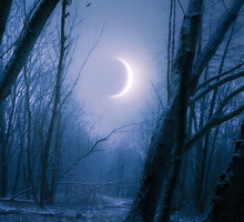 Chiński Nowy Rok to nie wszystko