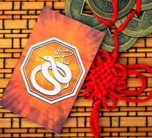 Wąż chiński znak zodiaku