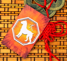 Pies chiński znak zodiaku