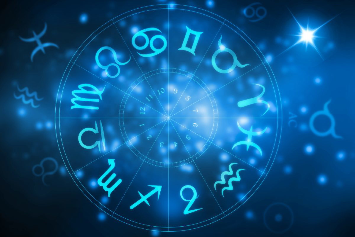 https://res.cloudinary.com/do9yyp5wk/image/upload/v1732275310/p7ypo9hc4buhowy8vagy