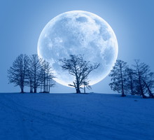 Pełnia Księżyca luty 2025