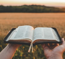 Cytaty z Biblii na każdy dzień