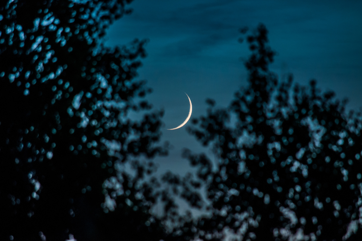 Wydarzy się w czwartek 20 lutego 2025