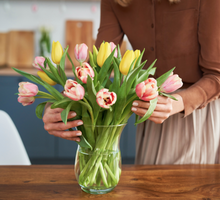 Nie układaj tulipanów w ten sposób