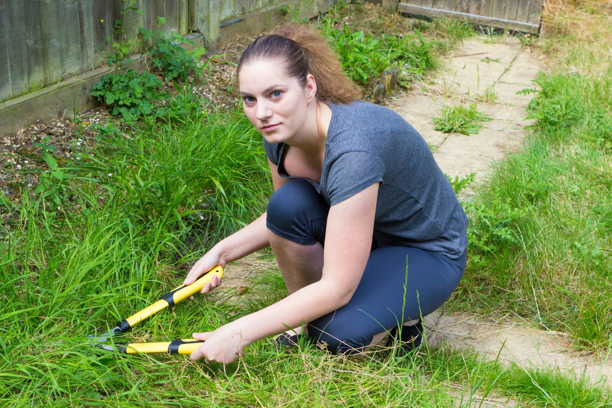 Kobieta pieli chwasty na działce