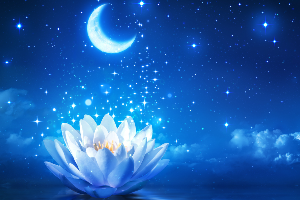 Te perfumy są naładowane mocą Księżyca