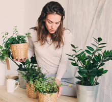 Naturalny nawóz z fusów do kwiatów przyciąga pieniądze