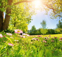 19 cytatów o wiośnie sprawi, że poczujesz ją w sercu