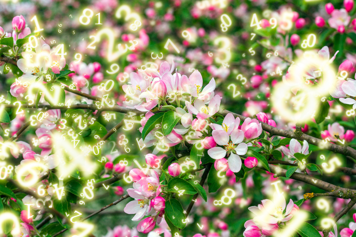 Numerologia na kwiecień 2025