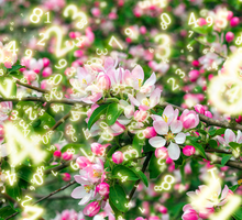 Numerologia na kwiecień 2025