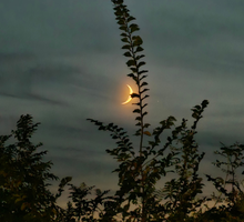 Nów Księżyca 29 marca 2025 nie da ci wytchnienia