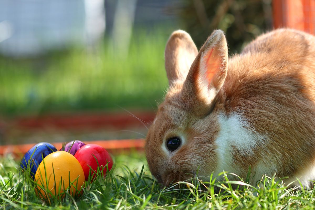 Życzenia na Wielką Sobotę