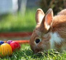 Życzenia na Wielką Sobotę