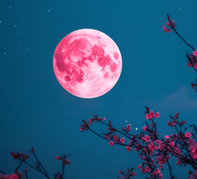 Horoskop na Pełnię Różowego Księżyca 2025