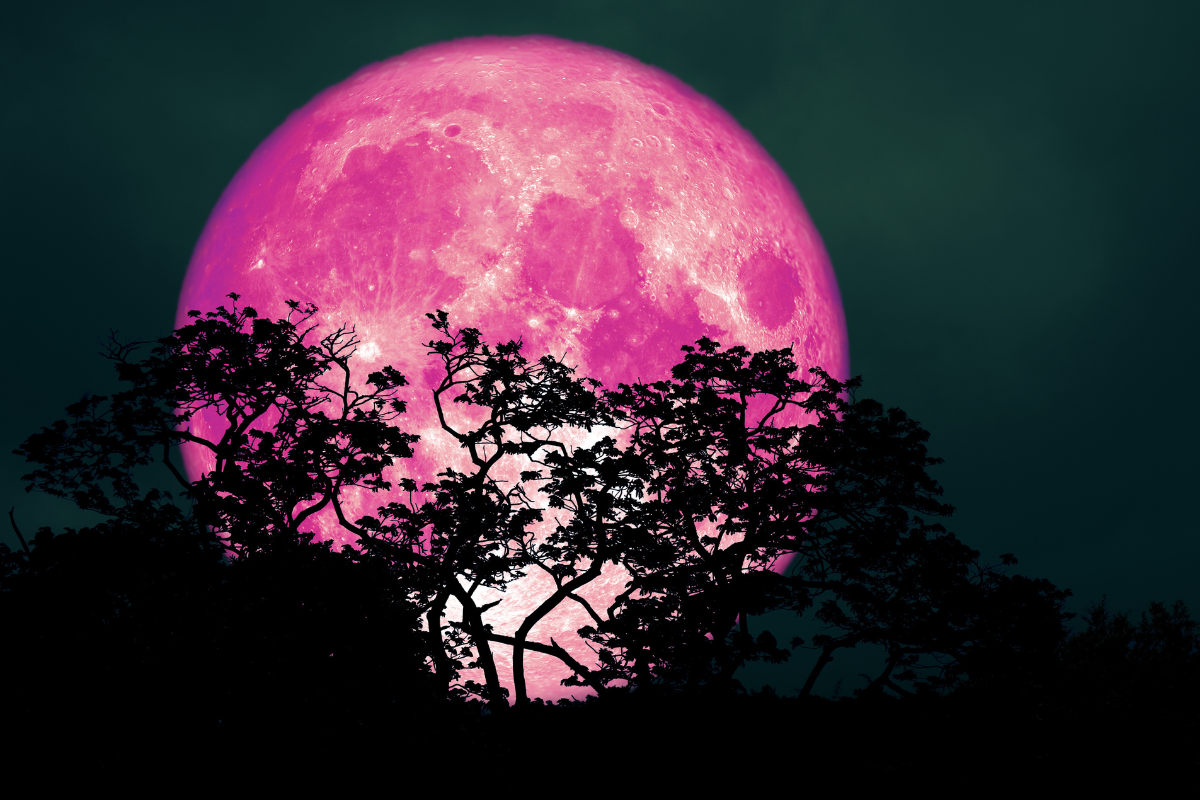 Dla tych 3 znaki zodiaku Pełnia Różowego Księżyca będzie przełomowa