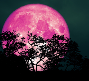 Dla tych 3 znaki zodiaku Pełnia Różowego Księżyca będzie przełomowa