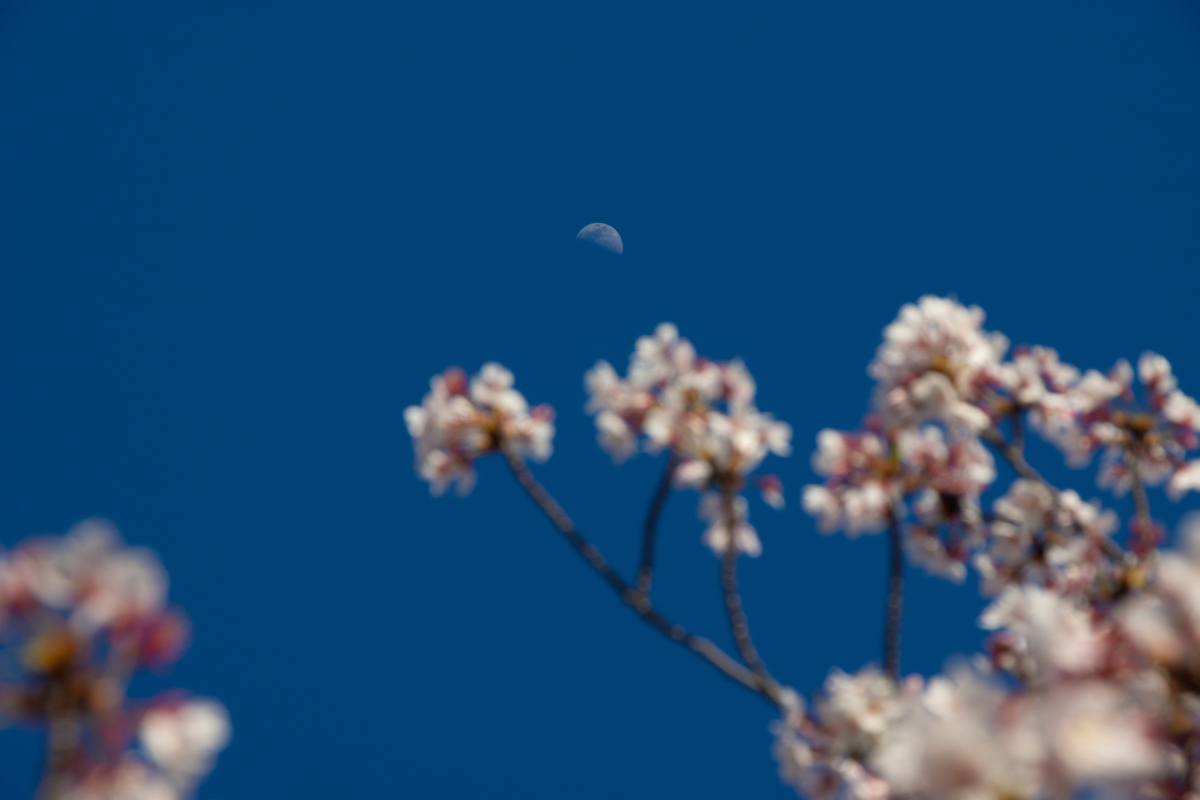 Ostatnia kwadra Księżyca 21 kwietnia 2025