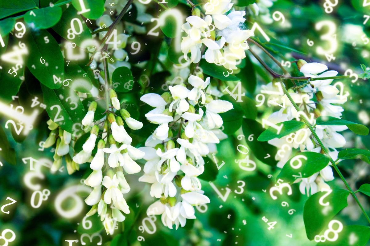 Numerologia na maj 2025