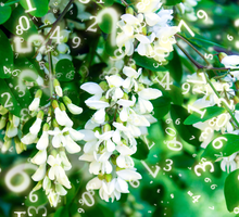 Numerologia na maj 2025