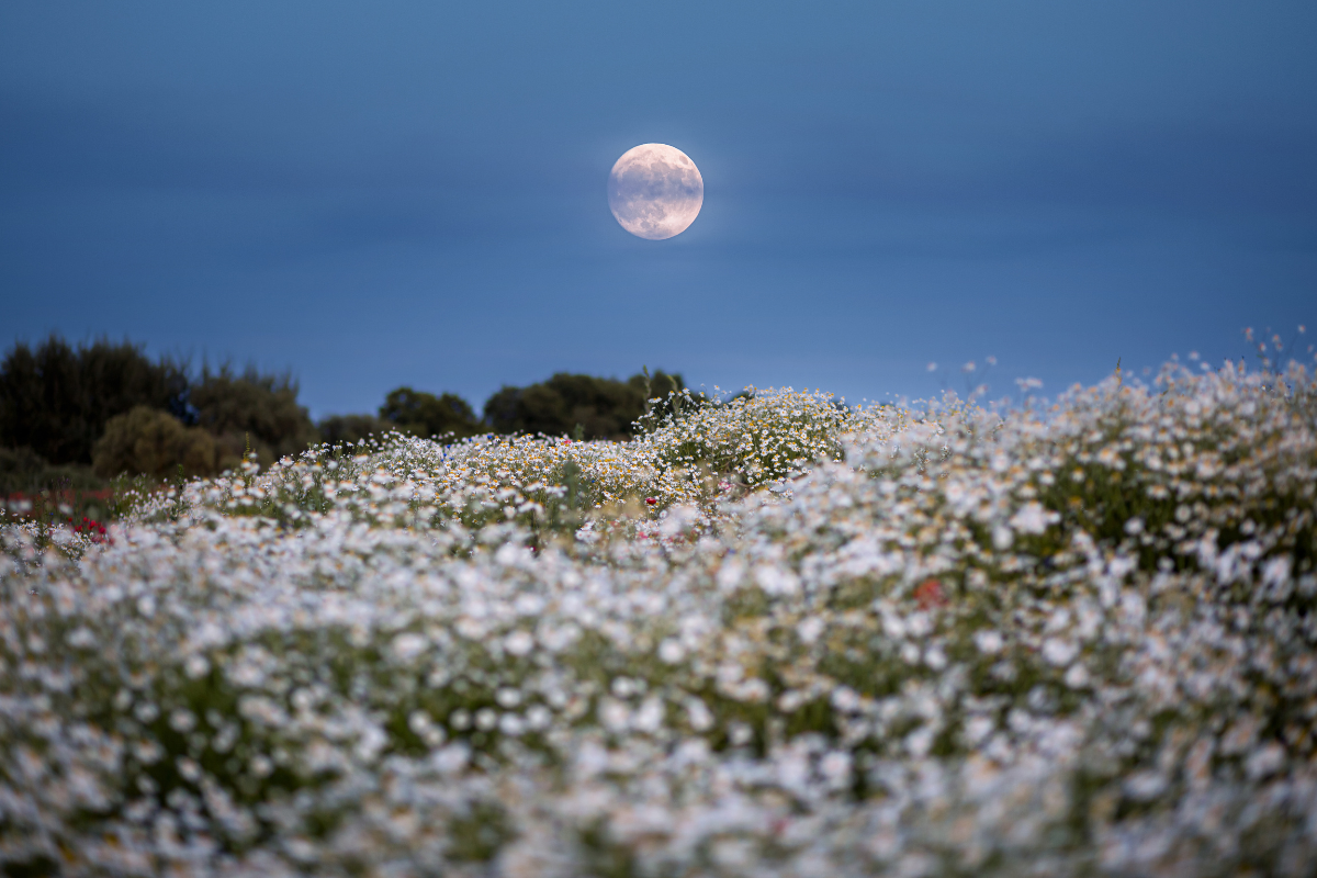 Pełnia Księżyca maj 2025