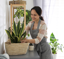 Zakop ten drobiazg w ziemi w Zimną Zośkę