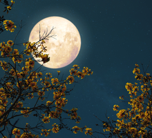 Mikropełnia Księżyca w maju 2025