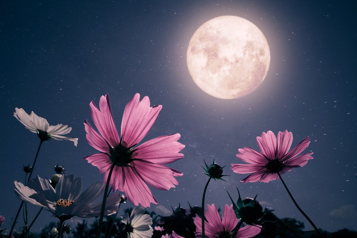 Horoskop na pełnię Księżyca w maju 2025