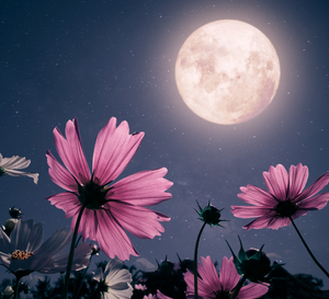 Horoskop na pełnię Księżyca w maju 2025