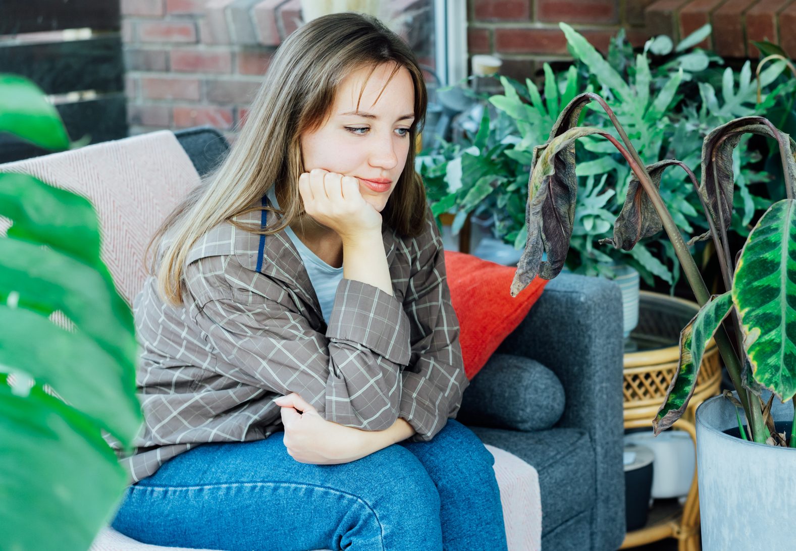 Young upset, sad woman examining dried dead foliage of her home plant Calathea. Houseplants diseases. Diseases Disorders Identification and Treatment, Houseplants sun burn. Damaged Leaves.