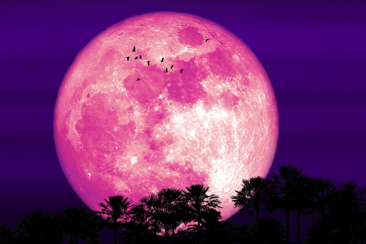 Horoskop na pełnię Truskawkowego Księżyca 11 czerwca 2025