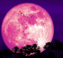 Horoskop na pełnię Truskawkowego Księżyca 11 czerwca 2025