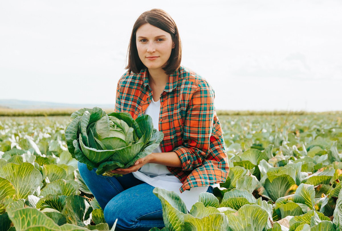 młoda dziewczyna w wieku koło 30 lat w koszuli w kratę i w jeansach kucha na polu kapusty i trzyma główkę kapusty w rękach z poważną miną