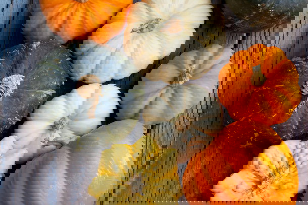 shutterstock_113683702