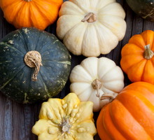 shutterstock_113683702