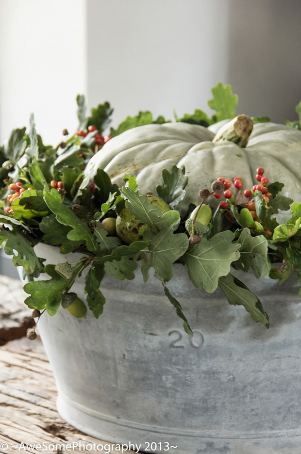 d6bae638f6ee2703484a0cd755cc953a